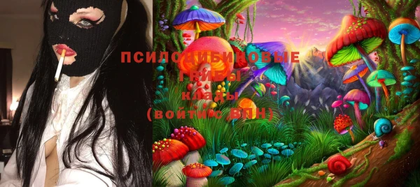 винт Протвино
